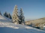 Krunklb-winter 2010 009.jpg