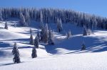 PICT0448.JPG