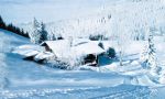 Krunkelb-im-Winter.jpg