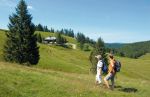 Krunkelb-Wanderer-145.jpg