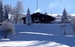 PICT0463.JPG